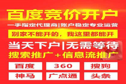 SEM代运营托管公司成功案例分析